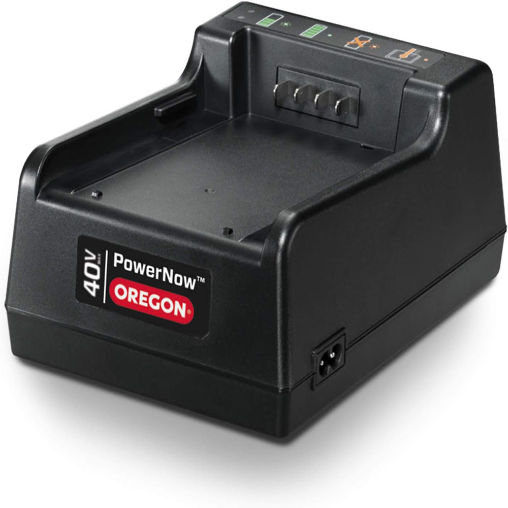 Oregon Cordless 16-inch Self-Sharpening Chainsaw with 4.0 Ah Battery and Charger