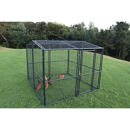 Producer's Pride Universal Poultry Pen, 24 Chicken Capacity, 8 ft. x 8 ft.