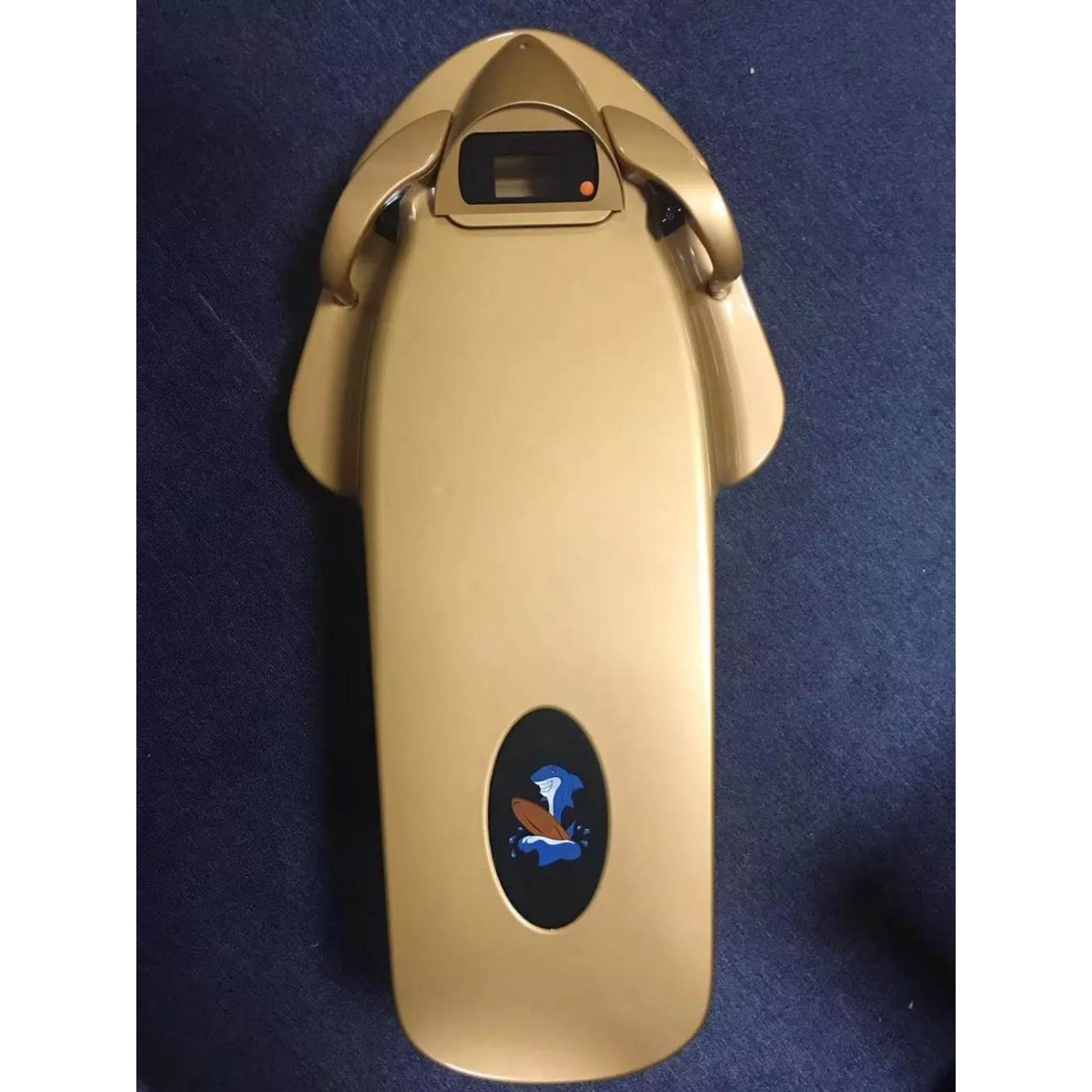 Skateboard paddle board water electric hydrofoil surfboard adult power seesaw swimming booster