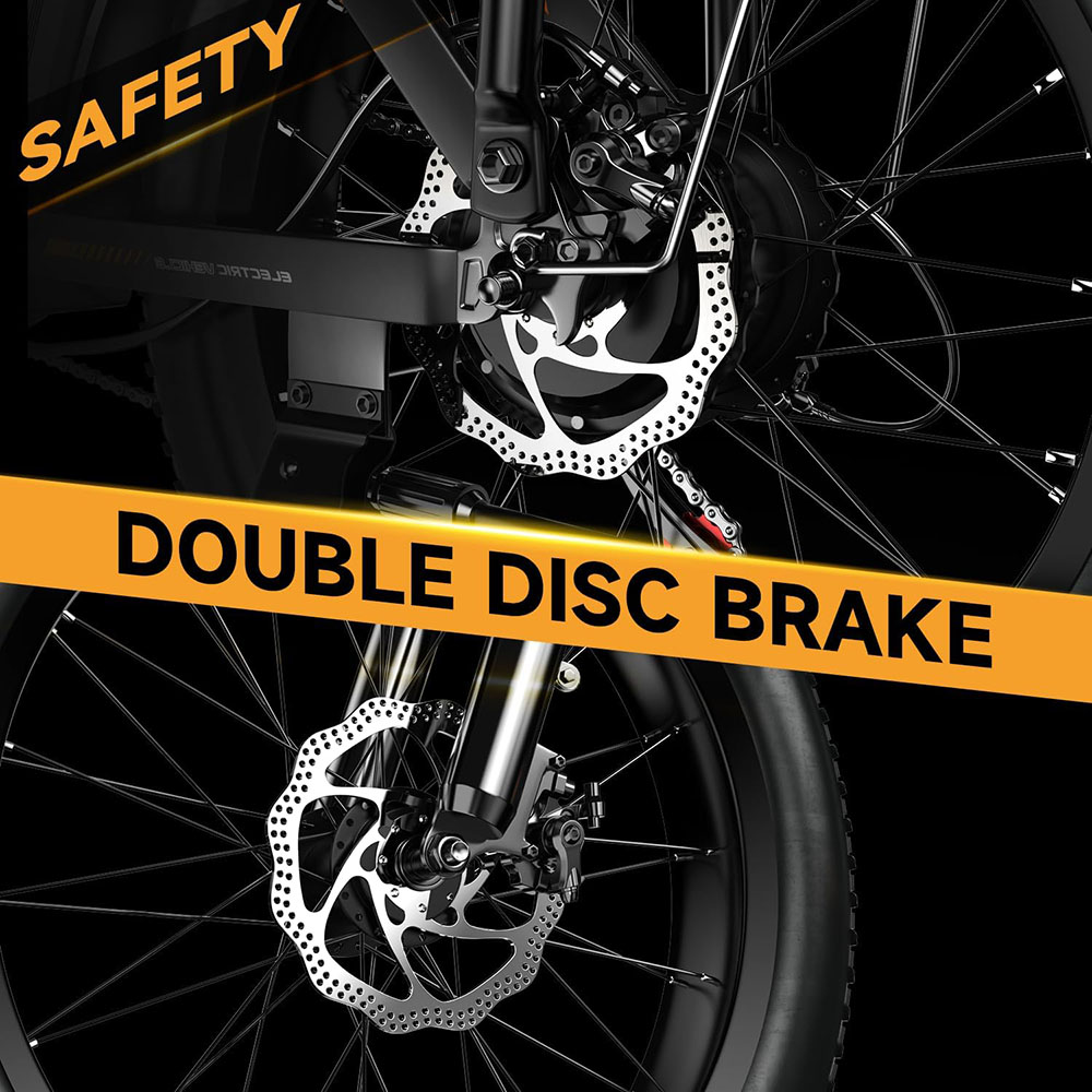 1000W, 48V 20AH Large Removable Battery E Bike