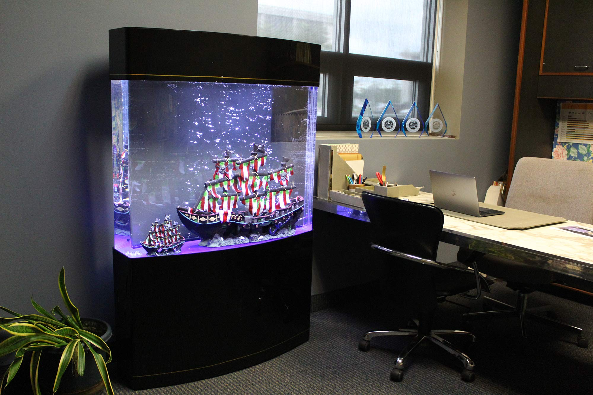 Water World Luxury Large Bow Front Acrylic Aquarium with Built-in Stand & Storage Top - 360° View